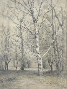 Forest with Birch Trees by Alphonse Stengelin