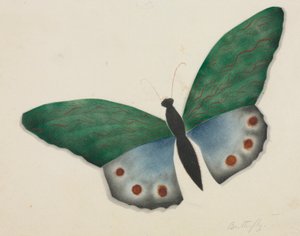 Butterfly by Altha Mary Nims