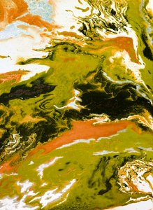 Dynamic Fluidity by Alyson Storms