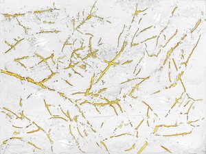 Golden Organic Texture