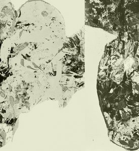 Textured Organic Forms