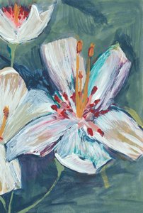 Vibrant White Lily Blooms