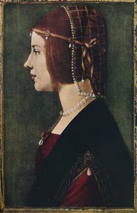 Portrait of a Young Girl by Ambrogio de Predis