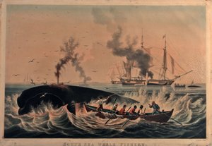 South Sea whale fishery