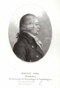 Martin Vahl by Ambroise Tardieu