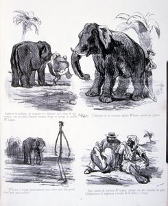 Illustration for The Art of Fattening and Losing Weight by Amédée de Noé