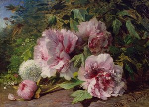Study of Peonies