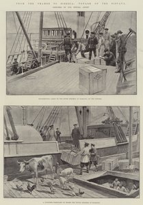 From the Thames to Siberia, Voyage of the Biscaya