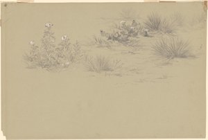 Flowering Bush and Desert Plants by American 19th Century after John Frederick Kensett