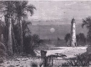 View of the coast of Florida, illustration from Cassells History of the United States published by Cassell, Petter & Galpin, c.1900