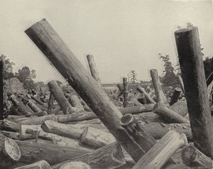 A Log Jam in St Croix River, Wisconsin by American Photographer (after)