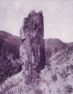 A petrified tree in the bad lands of Dakota by American Photographer (after)