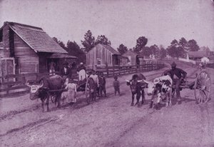 A village scene of happy content in Virginia
