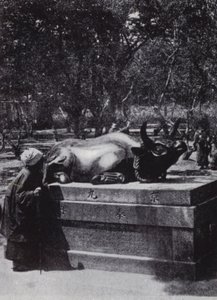 Devout woman stroking a bronze bull by American Photographer (after)