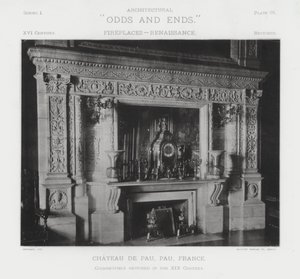 Fireplace: Chateau De Pau, Pau, France