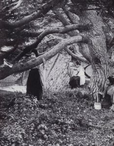 Japanese girls among the old pine-trees beside the ancient imperial moat at Tokio