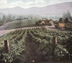 Oregon: Diversified Farming in Willamette Valley by American Photographer (after)