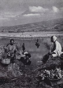 Peasants gathering rushes in the great vegetable district of Suzukawa by American Photographer (after)