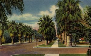 Phoenix, Arizona: North Central Avenue by American Photographer (after)