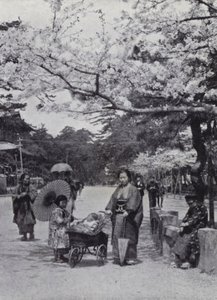 Under the Cherry-Blossom in Shiba Park, Tokyo by American Photographer (after)