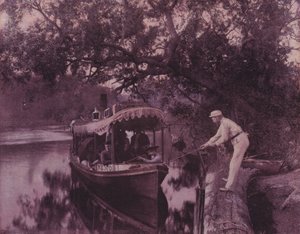 Winter in Florida by American Photographer (after)