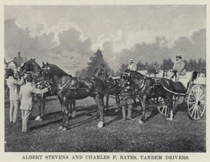 Albert Stevens and Charles F Bates, Tandem Drivers by American Photographer