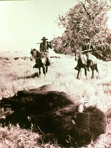American Bison Hunters