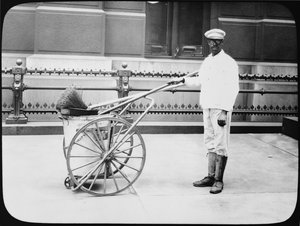 City Street Cleaner, Philadelphia, c.1920 by American Photographer