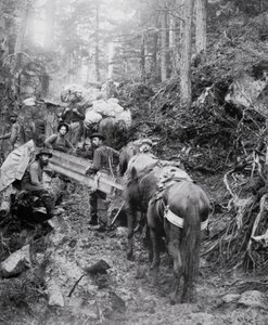 Climbing the Dyea Trail on the way to the Chilkoot Pass during the Klondike Gold Rush (1897-98)