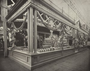 Connecticut in the Agricultural Building by American Photographer