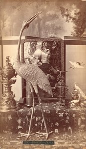Exhibit of Japanese Bronzes, Birds, Centennial International Exhibition, Philadelphia by American Photographer