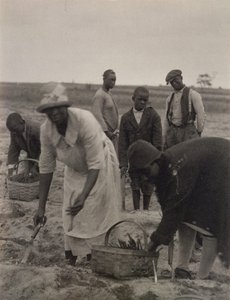 Field Work