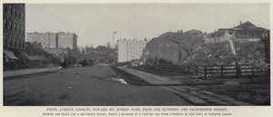 Fifth Avenue, looking toward Mt Morris Park from One Hundred and Eighteenth Street