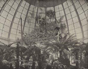 Interior of the Horticultural Dome by American Photographer