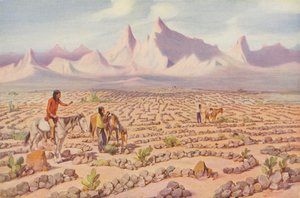 Mystic Maze of the Mojave Indians, Near Needles, California by American Photographer