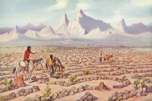 Mystic Maze of the Mojave Indians, near Needles, California by American Photographer