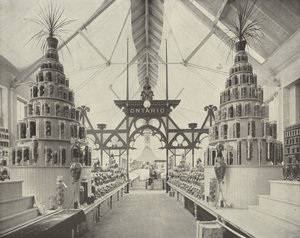 Ontario in the Horticultural Building by American Photographer