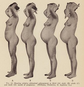 Signs and Symptoms of Pregnancy by American Photographer