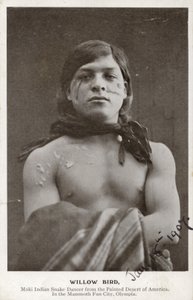 Willow Bird - Moki Indian Snake Dancer from the Painted Desert of America by American Photographer