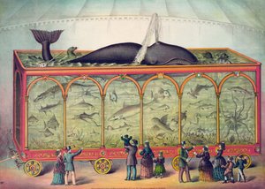 19th Century Circus Aquarium