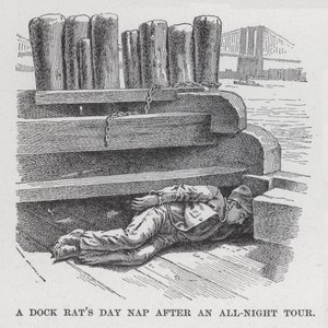 A Dock Rat