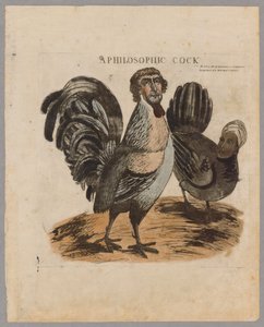A Philosophic Cock by American School