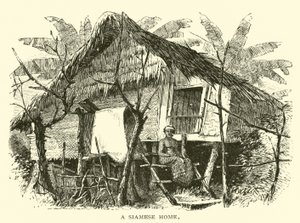 A Siamese Home by American School
