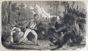 A man standing in front of a woman and child fighting off dogs