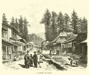 A street in Nikko