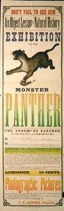 Advert for the Exhibition of the Monster Panther by American School