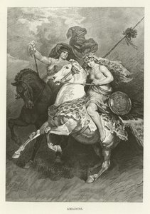 Amazons by American School