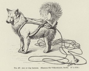 Ano or Dog Harness