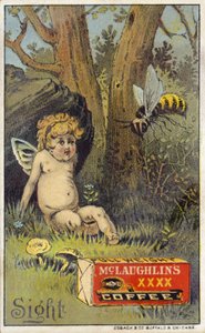 Bee attacking putto by American School
