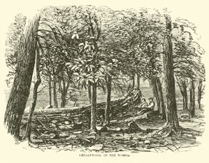 Breastwork in the woods, July 1863 by American School